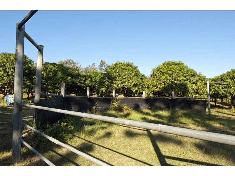 1316 Calliope River Road, West Stowe QLD 4680