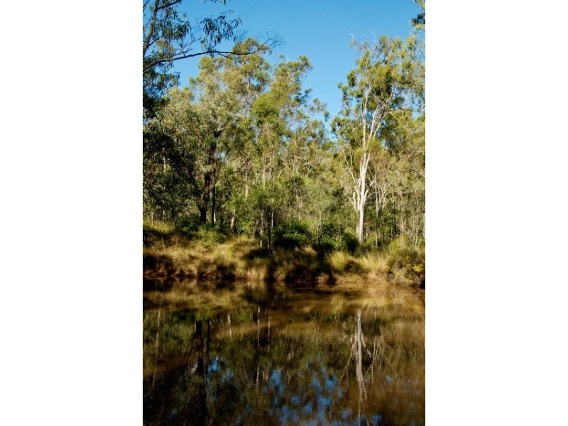 1316 Calliope River Road, West Stowe QLD 4680