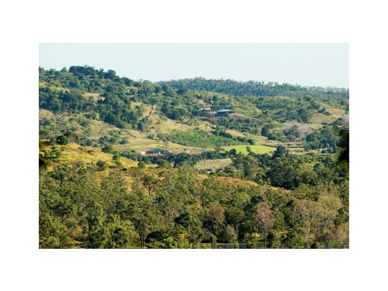 1316 Calliope River Road, West Stowe QLD 4680