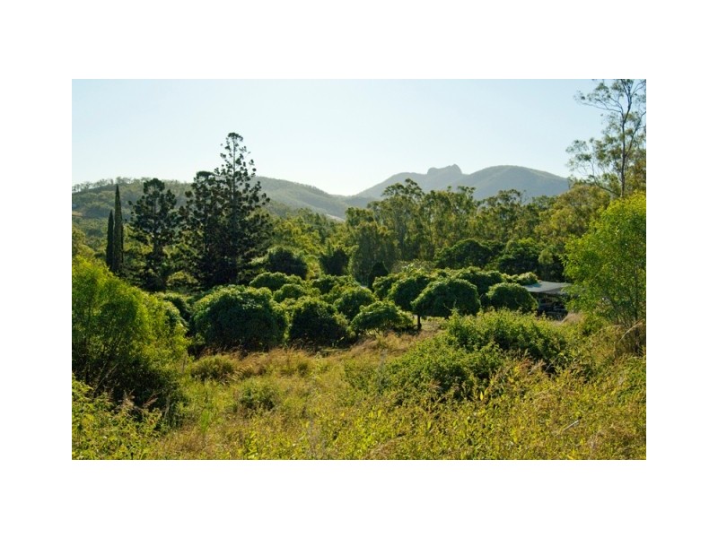 1316 Calliope River Road, West Stowe QLD 4680