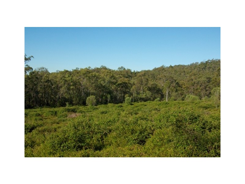 1316 Calliope River Road, West Stowe QLD 4680