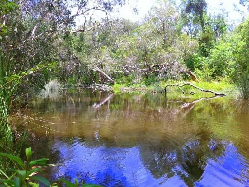 512 Murphy Road, Agnes Water QLD 4677