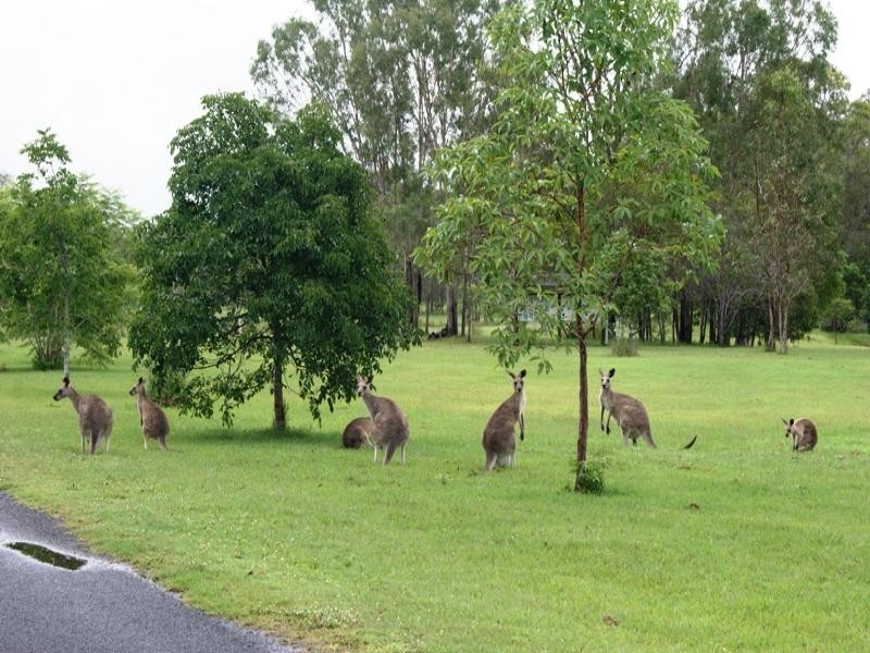 Lot 57 4528 Bundaberg Road, Gin Gin QLD 4671