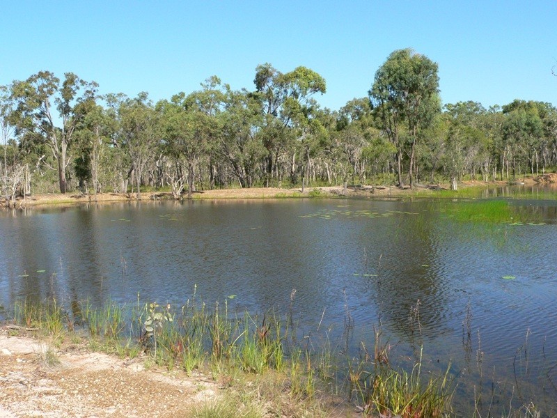 236 Maude Hill Road, Deepwater QLD 4674