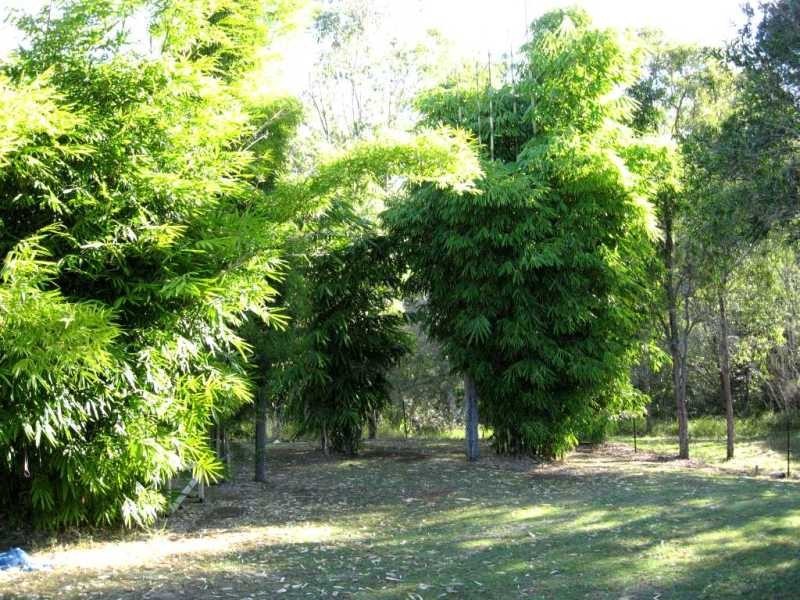 226 St Kilda Road, Tirroan QLD 4671