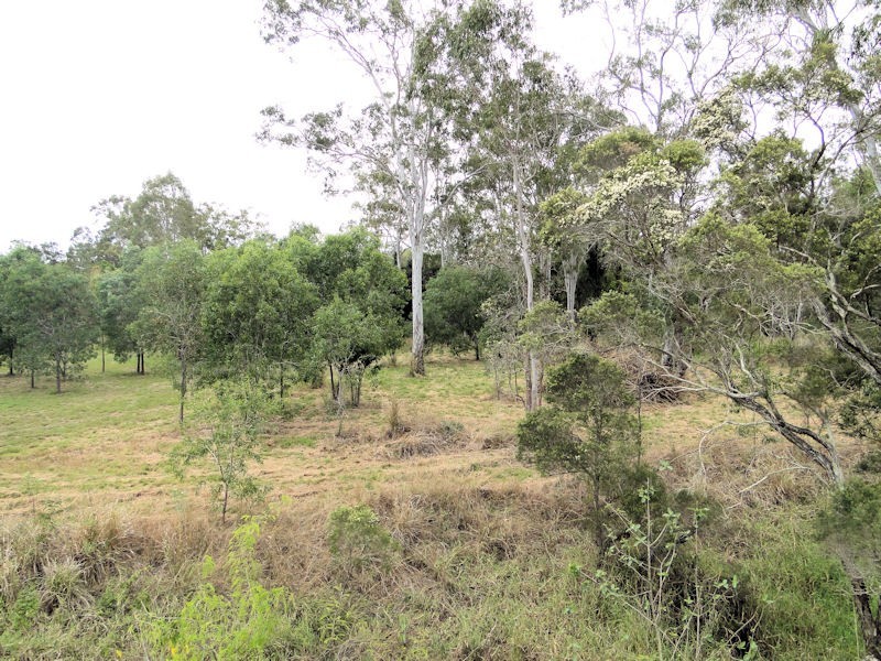 Lot 4 Blain Lane, Beecher QLD 4680
