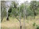 Lot 4 Blain Lane, Beecher QLD 4680