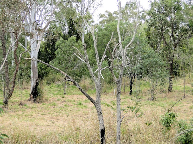Lot 4 Blain Lane, Beecher QLD 4680
