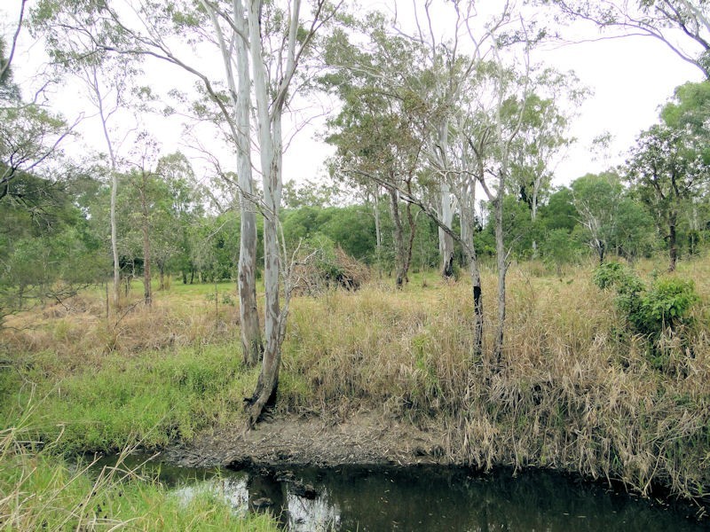 Lot 4 Blain Lane, Beecher QLD 4680
