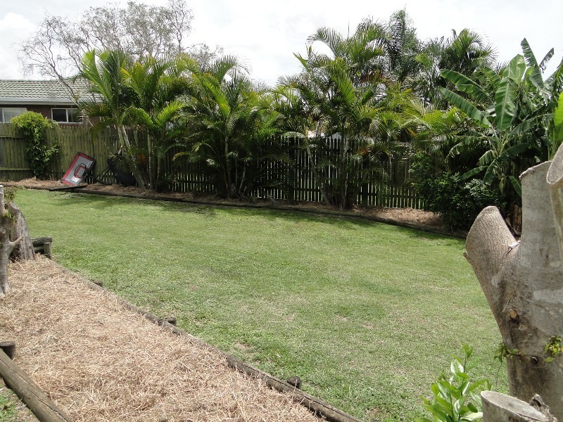 9 Carpentaria Close, Clinton QLD 4680