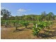 22 Dillon Road, Captain Creek QLD 4677