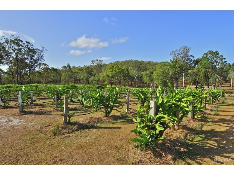 22 Dillon Road, Captain Creek QLD 4677