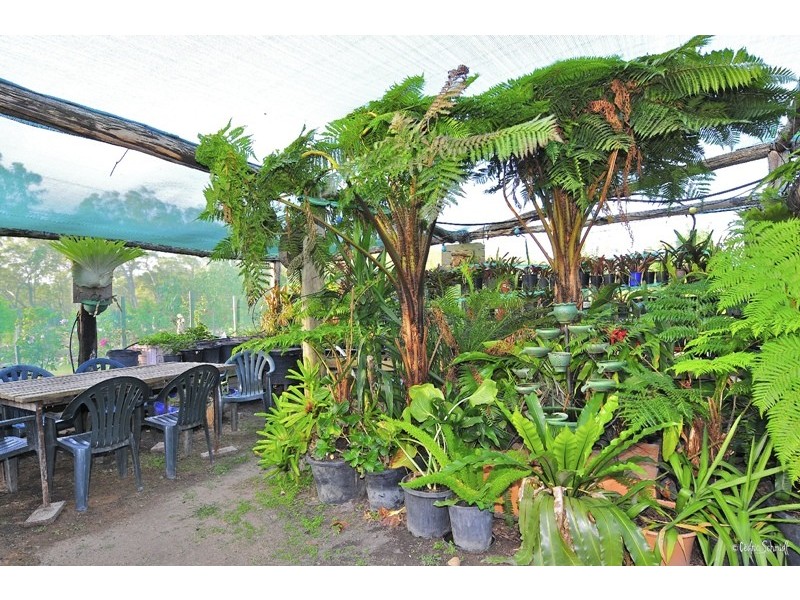 22 Dillon Road, Captain Creek QLD 4677