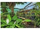 22 Dillon Road, Captain Creek QLD 4677