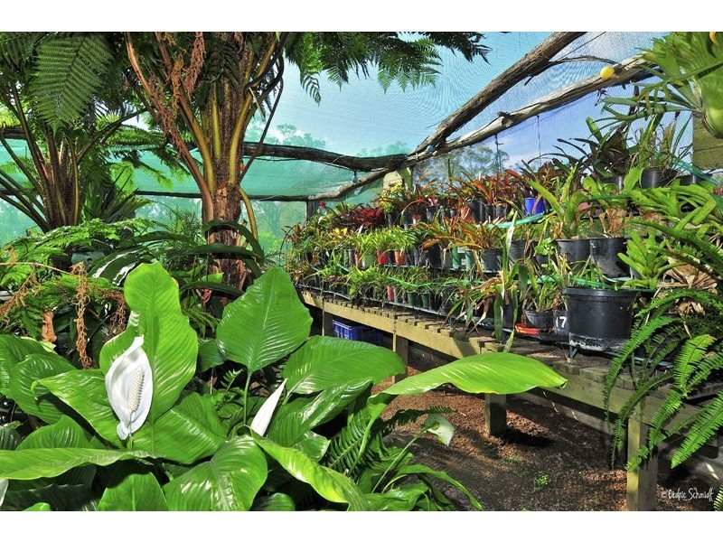 22 Dillon Road, Captain Creek QLD 4677