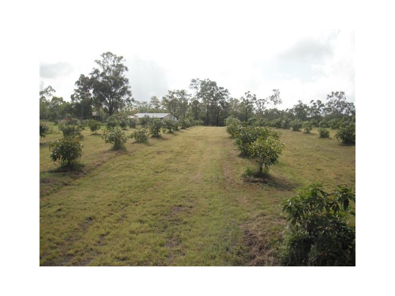 159 Taunton Road, Baffle Creek QLD 4674