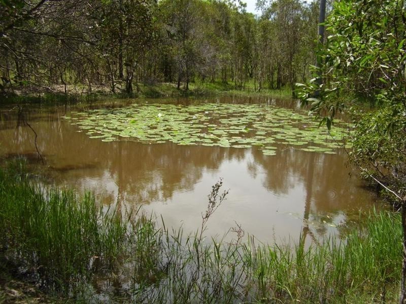 1143 Tableland Road, Mount Maria QLD 4674