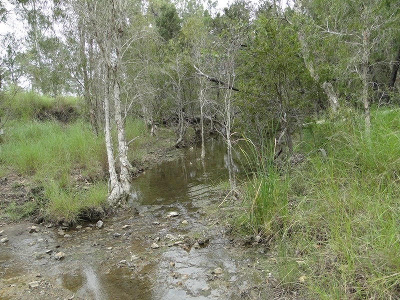 675 The Narrows Road, Mount Larcom QLD 4695