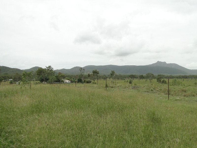 675 The Narrows Road, Mount Larcom QLD 4695