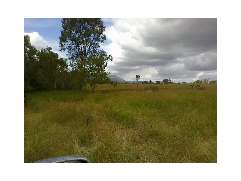 675 The Narrows Road, Mount Larcom QLD 4695