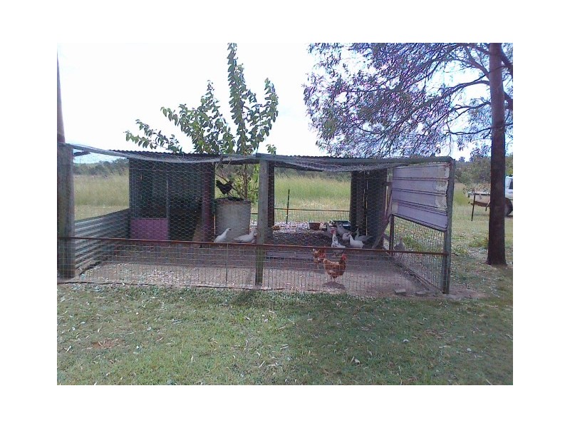 675 The Narrows Road, Mount Larcom QLD 4695