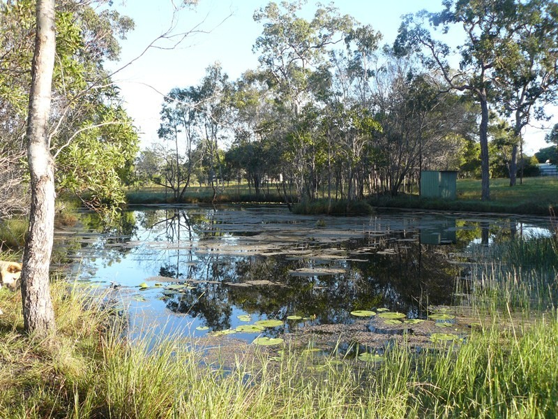 1400 Buxton Road, Buxton QLD 4660