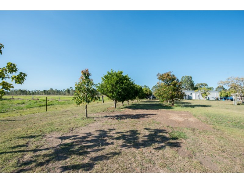 15 Barklya Court, Benaraby QLD 4680
