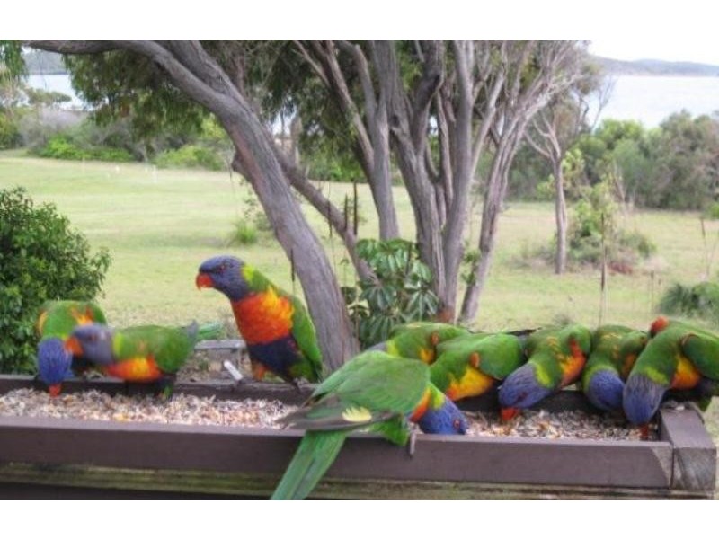 Lot 48 Island Street, Quoin Island, Gladstone QLD 4680