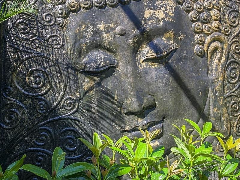 220 BICENTENNIAL DRIVE, Agnes Water QLD 4677