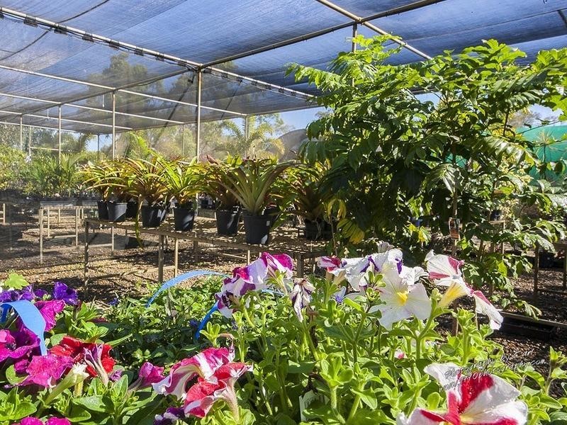 220 BICENTENNIAL DRIVE, Agnes Water QLD 4677