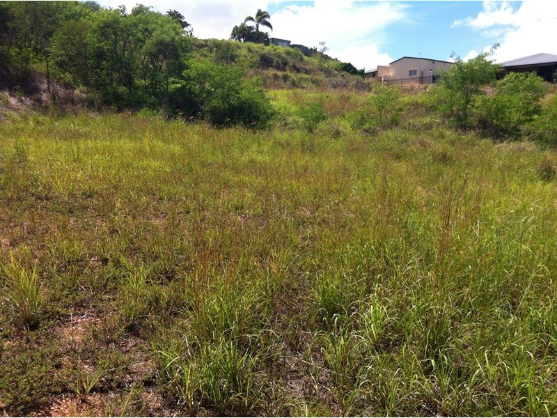 3 Dorado Court, Telina QLD 4680