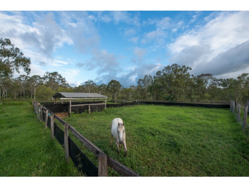 1473 Dawson Highway, Burua QLD 4680