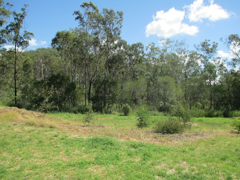 313 Jim Whyte Way, Burua QLD 4680