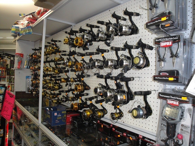 1/2 Gilbert Court, Boyne Island QLD 4680