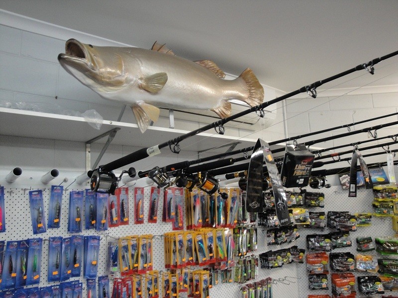 1/2 Gilbert Court, Boyne Island QLD 4680