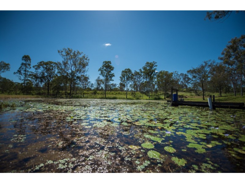 49471 Bruce Highway, Benaraby QLD 4680