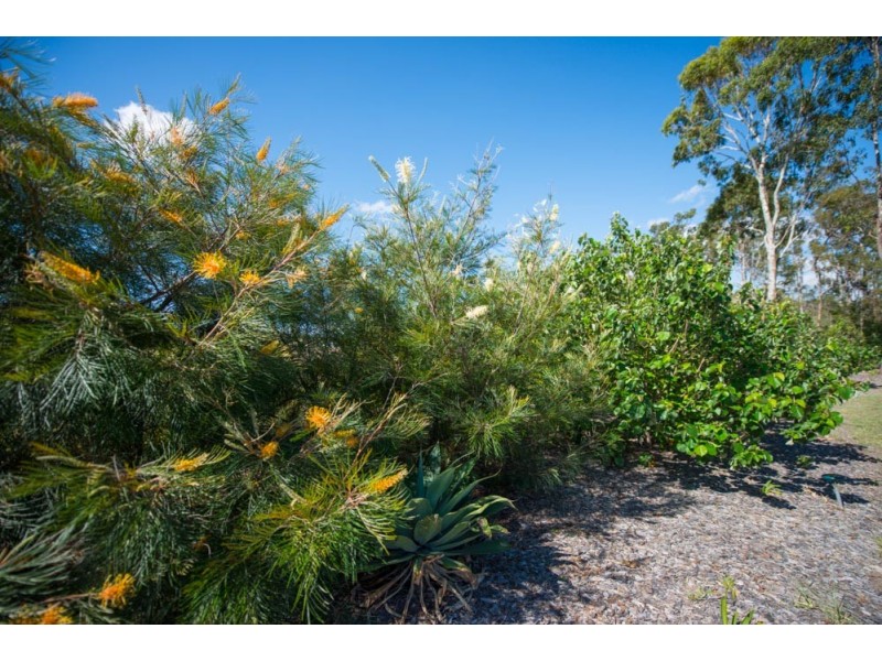 25 Lagoon Road, Beecher QLD 4680