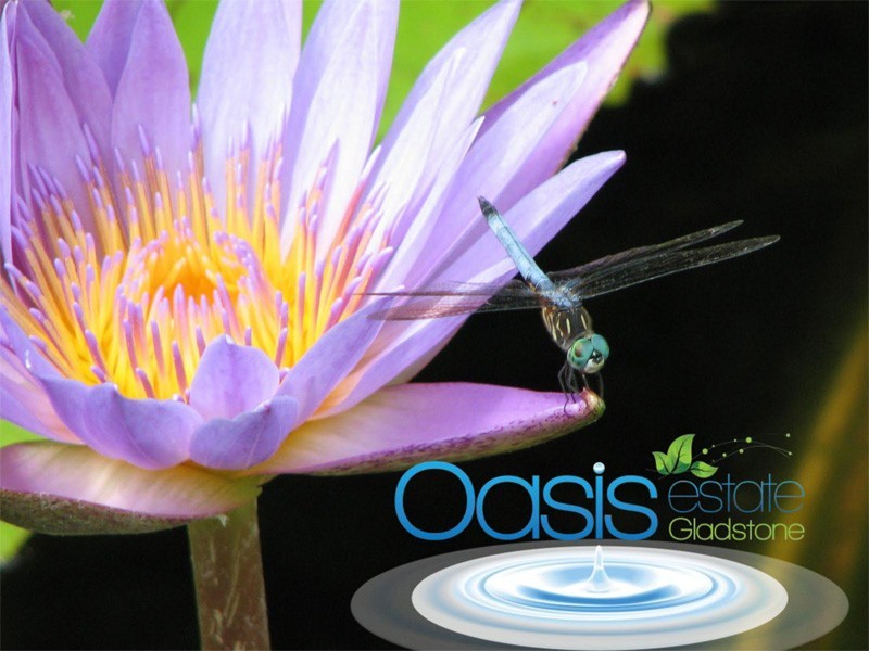 Lots Oasis Estate, Kirkwood QLD 4680