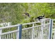 2 Diamond Cutter Close, South Gladstone QLD 4680