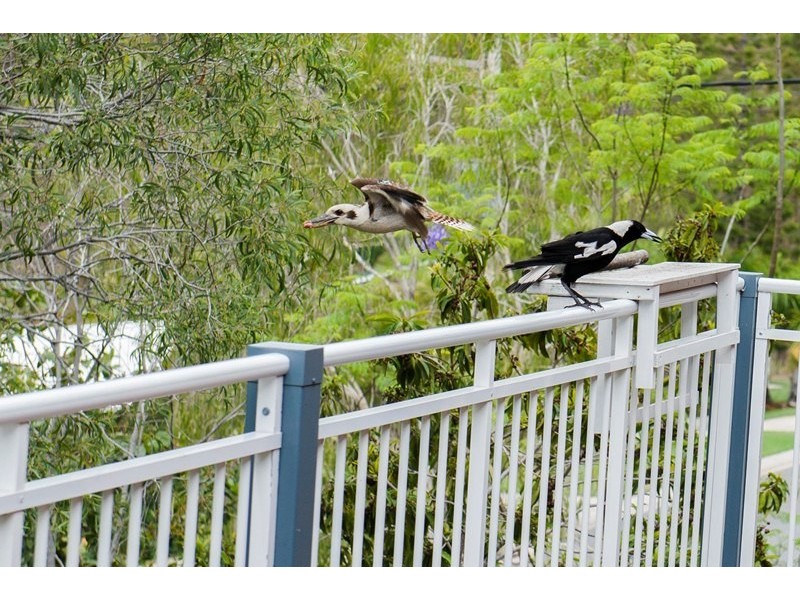 2 Diamond Cutter Close, South Gladstone QLD 4680