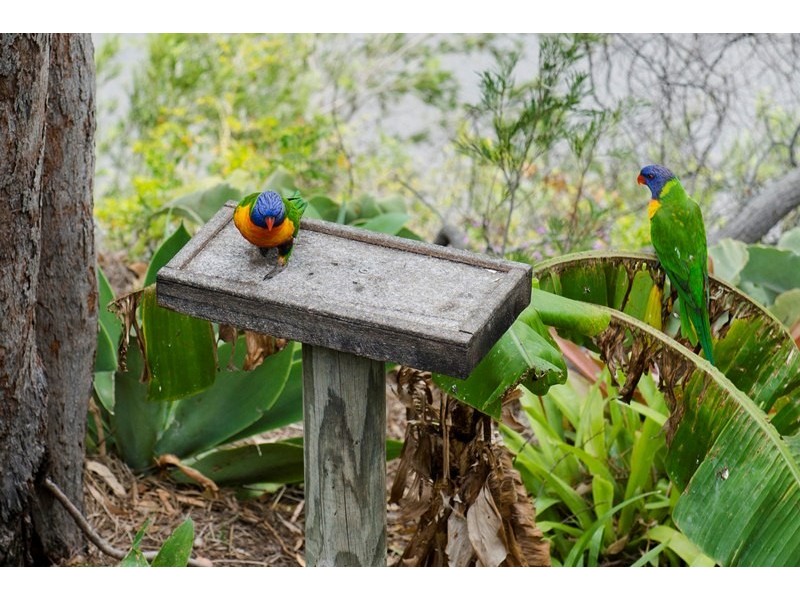 2 Diamond Cutter Close, South Gladstone QLD 4680