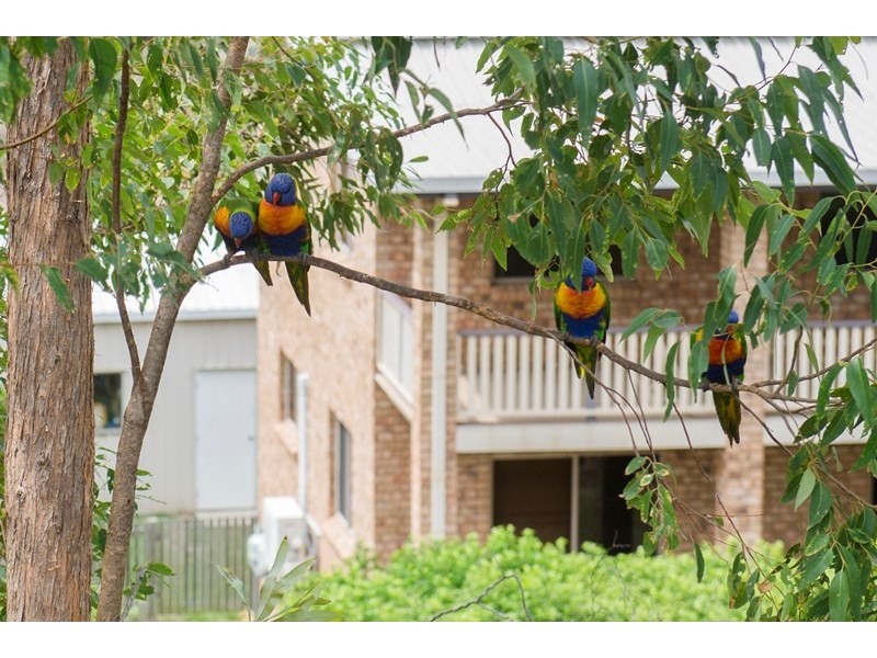 2 Diamond Cutter Close, South Gladstone QLD 4680