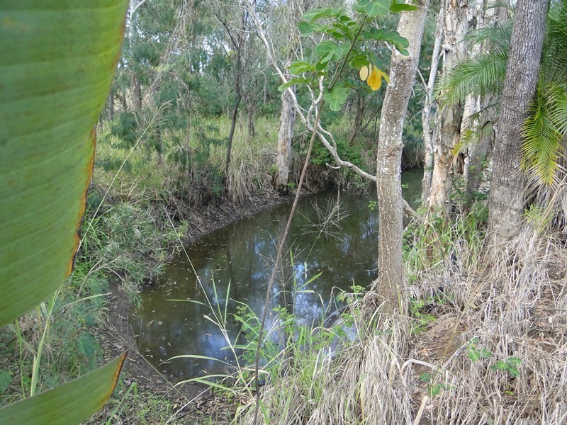 3 Lindherr Road, Yarwun QLD 4694