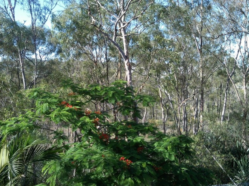 13 COCKATOO DRIVE, New Auckland QLD 4680