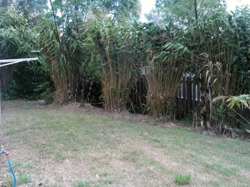 3/3 BUTLER STREET, New Auckland QLD 4680