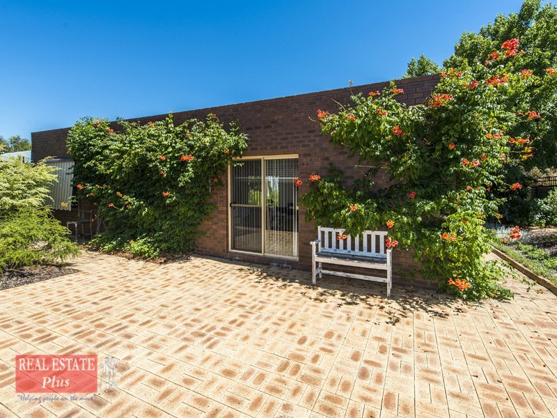 10 Barussela Avenue, Greenmount WA 6056