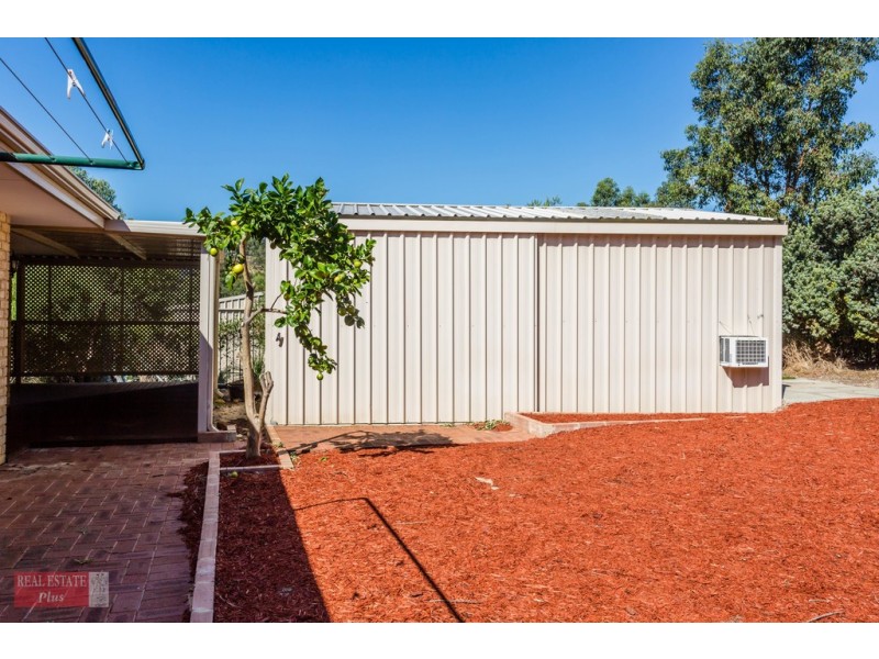 3 Grevillea Crescent, Swan View WA 6056