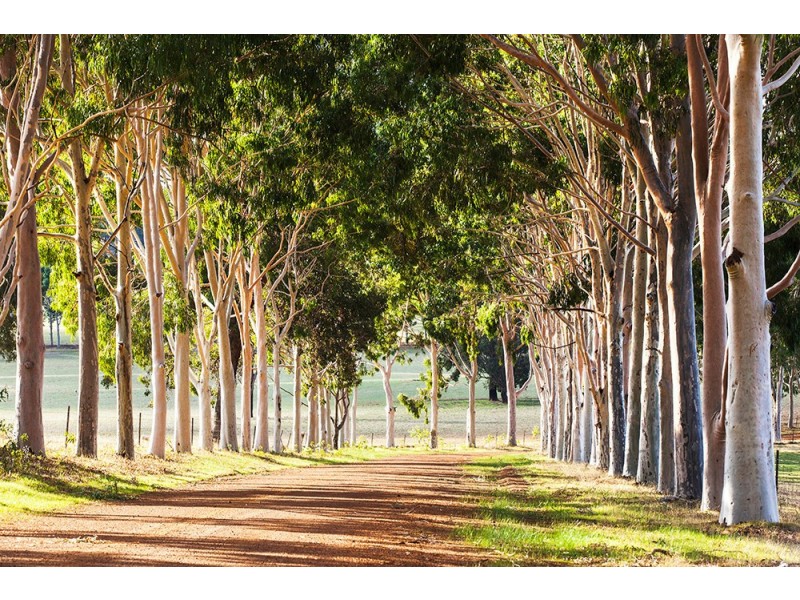 1 Golf Links Road, Wundowie WA 6560