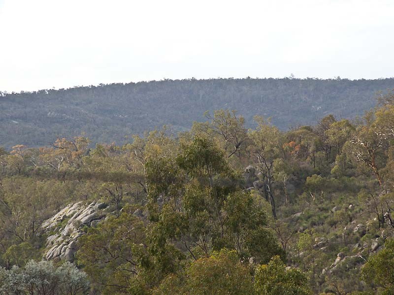 57 Throssell Road, Swan View WA 6056