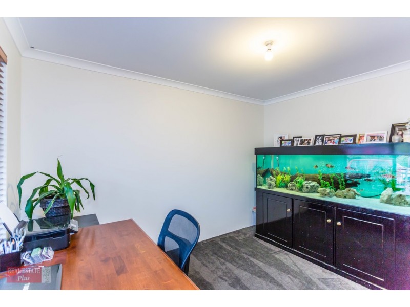 17 Grassdale Parkway, Ellenbrook WA 6069